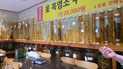 달래흑염소옻닭 사진